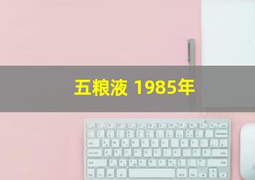 五粮液 1985年